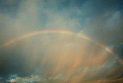 20090516174556-3160-24a-mejor-color-400-pix-mas-oscuro.jpg